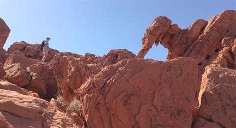 Overton Tourism (2023): Best of Overton, NV - Tripadvisor