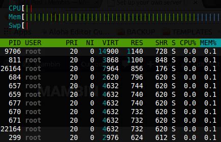 Image result for How to Use a Server