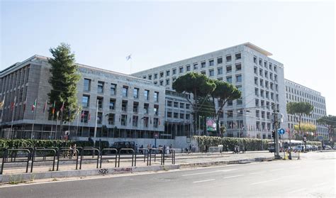Headquarters Of Fao Is Located In