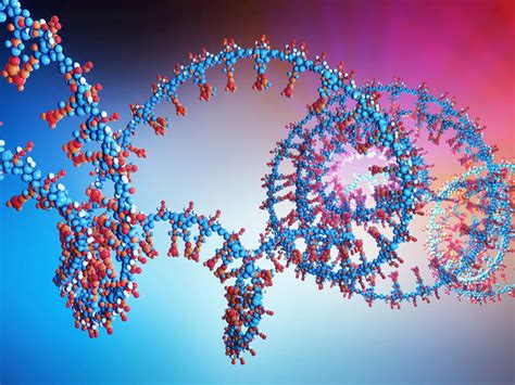 Algo más sobre proteínas | Meer