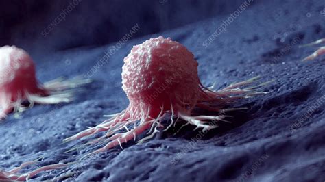 How Is Cancer Caused Animation View 的图像结果