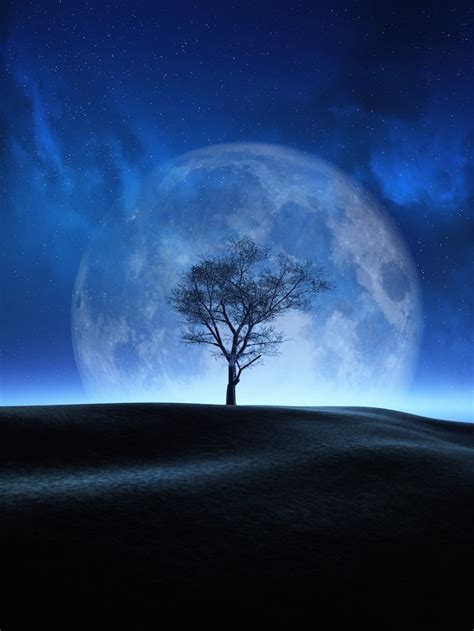 Night moon Images - Free Download on Freepik