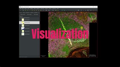 QuPath Tutorial 的图像结果