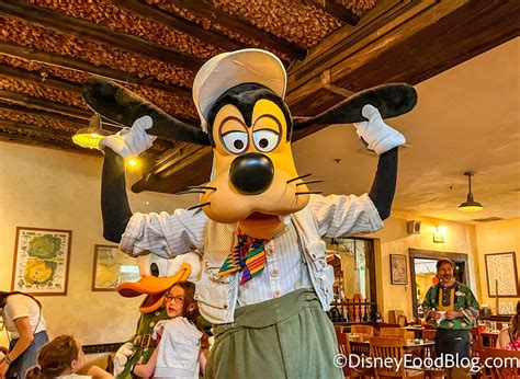 REVIEW: Buffets Are BACK at Tusker House in Disney’s Animal Kingdom ...