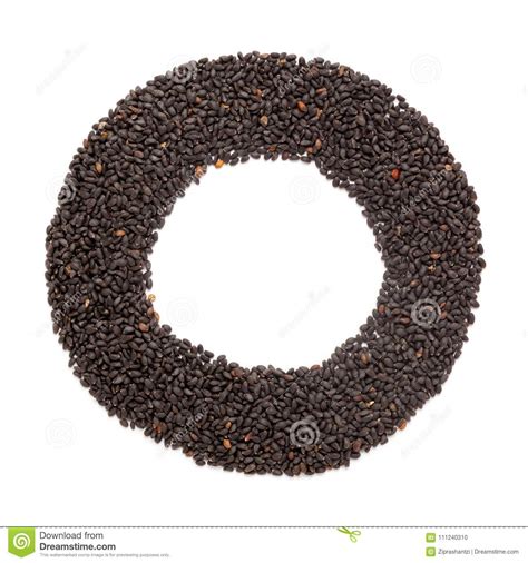 Organic Holy Basil Seed Ocimum Tenuiflorum or Tulsi in Ring Shape for ...