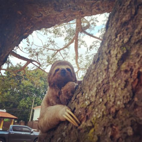 Cecilia Toro | 🥰🥰🥰 Anoche Day in paradise | Instagram