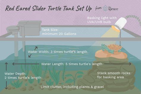 Image result for Red Ear Slider Turtle Tank Setup