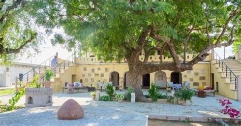 Johad by DeraMandawa, Rajasthan | WhatsHot Delhi Ncr