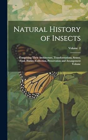 Buy Natural History of Insects: Comprising Their Architecture ...