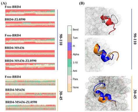 Molecular Dynamics Simulations Combined with Markov Model to Explore ...