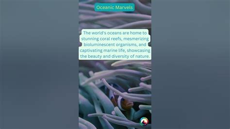 Oceanic Marvels: Locating The Bermuda Triangle'S Waters