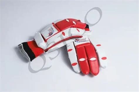 Animal Cages - Dog Cage QSICO ( DC-I1) Manufacturer from Meerut