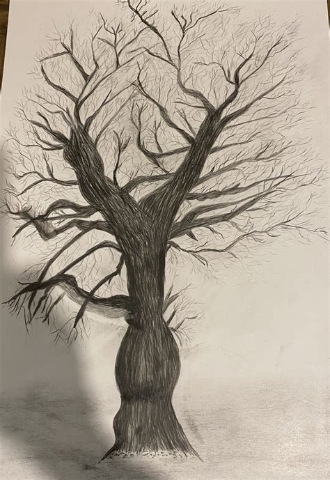 Image result for Graphite Pencil Drawing Tree