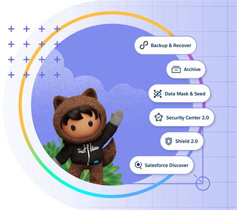 Salesforce Platform für die Anwendungsentwicklung - Salesforce