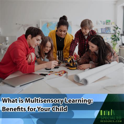 Image result for Why Multi-Sensory Learning Is Important
