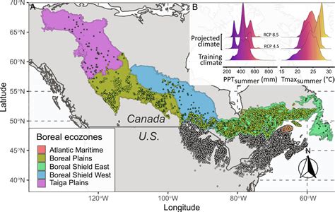 Boreal Forest Climate Graph