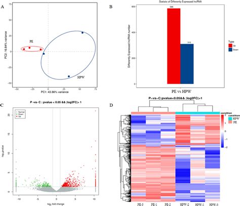 PNE vs WBA 的图像结果