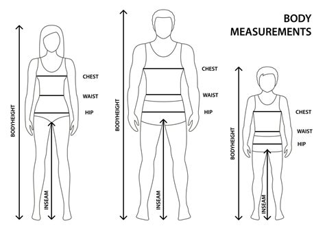 Hip Vs Waist Size Chart at Nicole Humphreys blog
