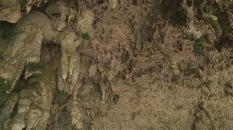 Geological Process Models 的图像结果