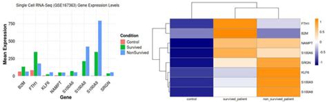IJMS | Special Issue : Molecular Research on the Pathology and ...