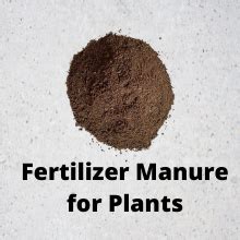 Leaf Life Organic Vermicompost Fertilizer Manure for Plants (5 KG ...