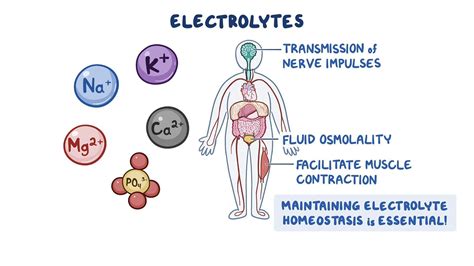 Electrolyte Balance: Giữ Cân Bằng Điện Giải Cho Cơ Thể Khỏe Mạnh
