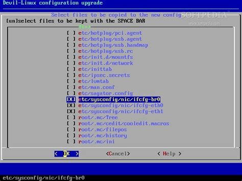 Image result for Linux Devil