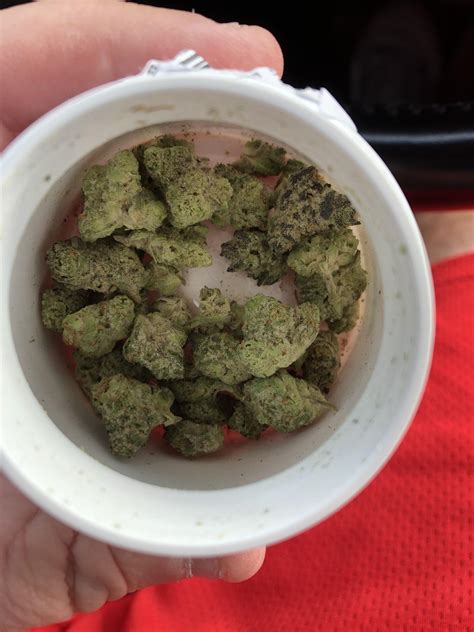 SourJack T3 at Muv Apollo beach. : r/FLMedicalTrees