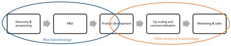 Exploring the Potential of Using Marine-Derived Ingredients: From the ...