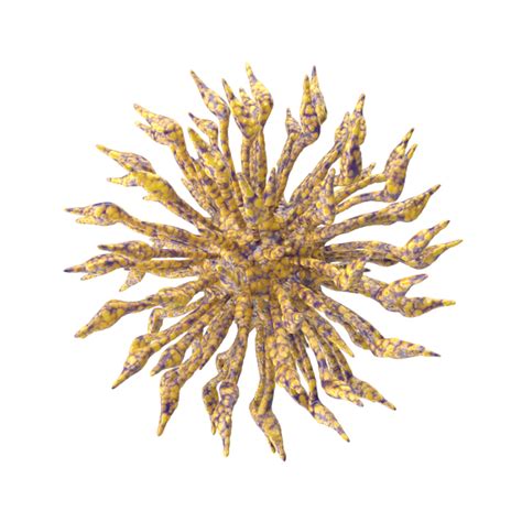 Microscopic Yellow Dot Pattern 的图像结果