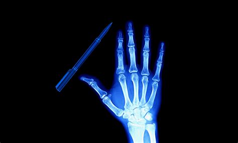 Writing the Body - Maine Media Workshops + College