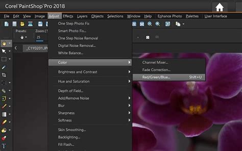 Image result for Paint Shop Pro Color Correction Tutorial