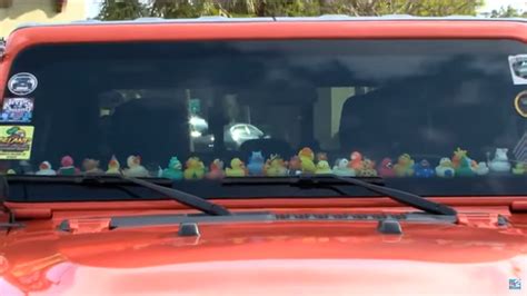 Why do Jeeps have little rubber ducks on the dashboard? - The Suncoast ...
