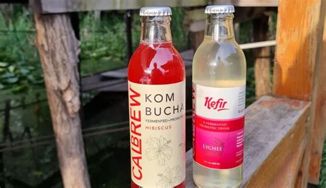 Kolkata-Based Brand Is Making Naturally Carbonated Kombucha & Kefir ...