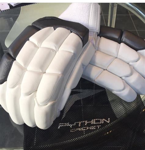 Monty Python Cricket 的图像结果