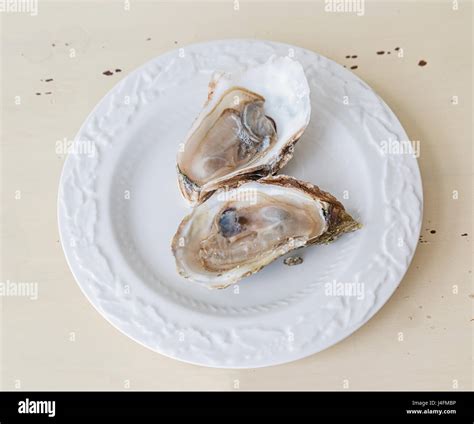Fresh oysters on the half shell Stock Photo - Alamy