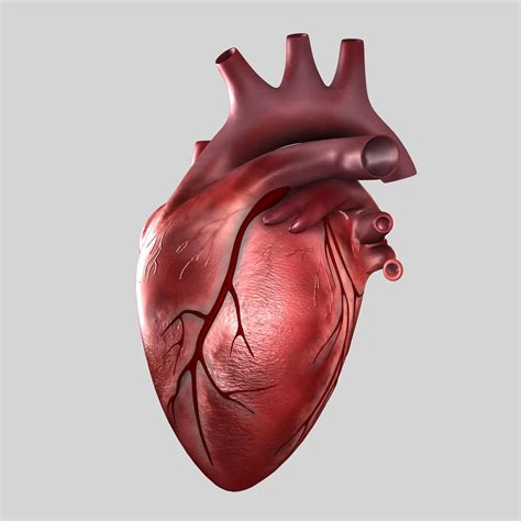 Image result for Heart with Name Using Python