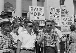 Image result for Race Mixing Propaganda