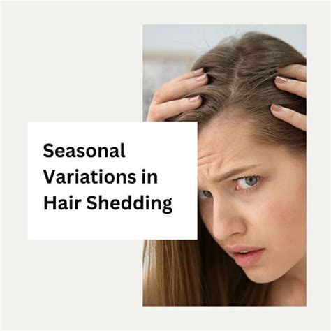 Understanding Hair Shedding and How to Prevent It | Clinikally
