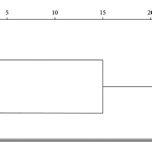 Image result for Dendrogram Excel