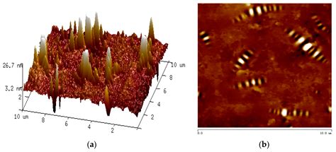Experimental Study on Nano-Parameters of Styrene-Butadiene-Styrene ...