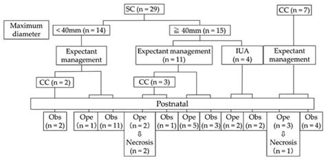 Diagnosis, Management, and Therapy of Fetal Ovarian Cysts Detected by ...
