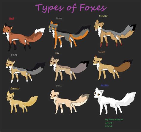 types of foxes. | List of animals, Animals images, Animals