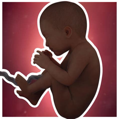 35 weeks pregnant: fetal development - BabyCentre UK