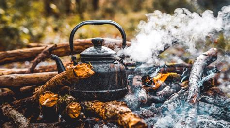 Primitive Cook 的图像结果