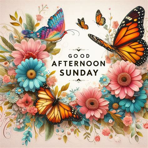 123+ Good Afternoon Sunday Images, Pictures, Photos & Pics