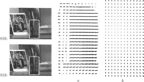 Image result for Brightness Constancy