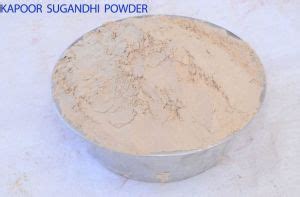 Natural Aloe Vera Gel Exporter and Supplier from Indore India