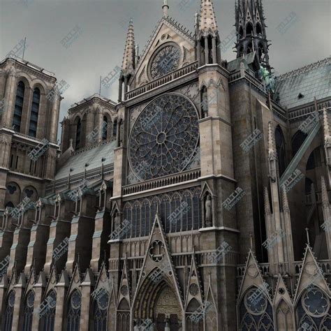 巴黎圣母院读后感600字 - 求索作文网