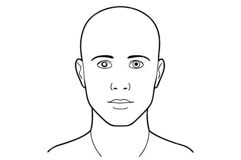 Rosto e cabeça de homem adulto sem cabelo olhos abertos modelo de ...